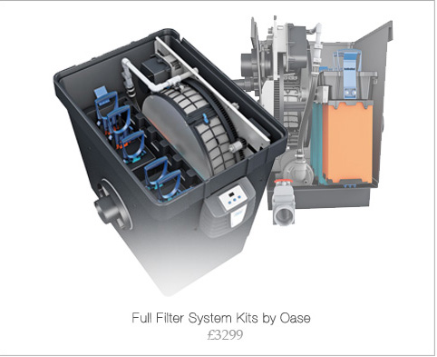 full filter systems for fish