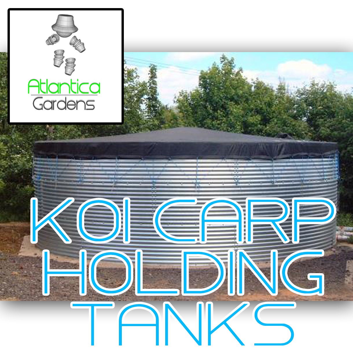 fish hold tank - Large and steel