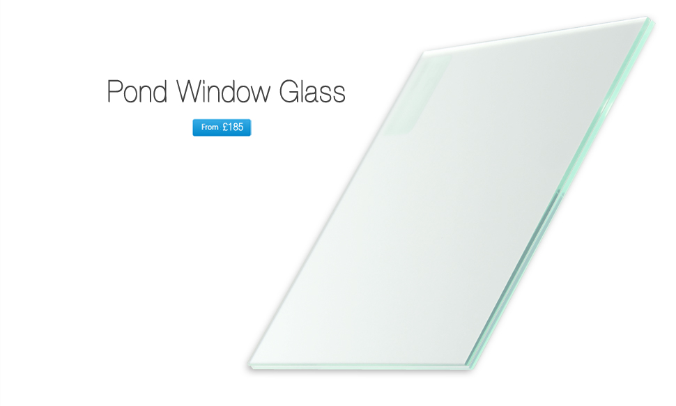 Koi Pond Window Glass or Acrylic